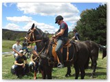 18 Pounder Horse Team Training by Max Pearce on 31 January 2015